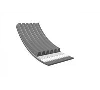 Meyle Cinghia Poly-V 0500061515 1515 mm 6 nervature