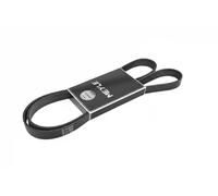 Meyle Cinghia servizi 050 006 1743 - Cinghia scanalata 6PK1743 1743 mm 6 alette EPDM