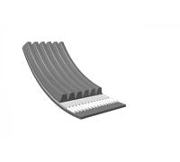 Meyle V-Ribbed Belt 500062030