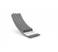 Meyle 050 004 0895 Cinghia Poly-V