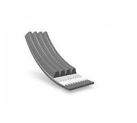 Cinghia A V Denti MEYLE 050 004 1075 Per Nissan Renault