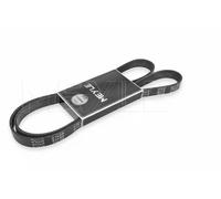 Cinghia Poly V Meyle 0500061836 Meyle-original: True To Oe. per Alfa Romeo Bmw