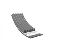 MEYLE Cinghia Poly-V per AUDI FIAT MITSUBISHI TOYOTA 050 005 1090