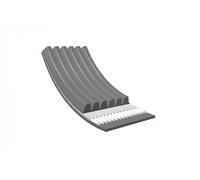 MEYLE 050 006 2300 Cinghia servizi