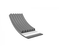 Meyle Cinghia Poly-V 6PK1185 (0500061185) 1185 mm 6 alette