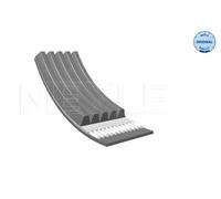 MEYLE Cinghia Poly-V per CITROËN OPEL PEUGEOT 050 005 1255