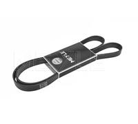 Meyle Cinghia Poly‑V 0500061660 – Original conforme OE per Audi BMW Citroën