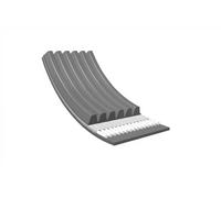 Cinghia Poly-V per SAAB 9-3