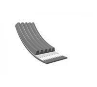 MEYLE Cinghia Poly-V per FORD VOLVO 050 005 0868/E