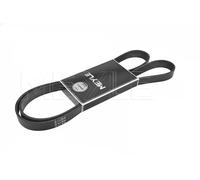 Meyle 6PK1613 Cinghia Scanalata per Audi A4 A6 1.9 2.0 Tdi Crafter 30-35