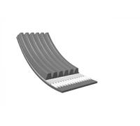 Meyle Cinghia Poly V 0500061038 – True To OE – per Alfa Romeo, Fiat