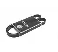 Meyle 050 006 1195 Cinghia Poly-V