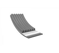 Meyle Cinghia Poly-V 0500061830 – Meyle original True To OE – per Alfa Romeo BMW