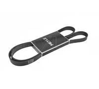 MEYLE Cinghia Poly-V compatibile con BMW CITROËN FORD OPEL PEUGEOT ROVER SEAT