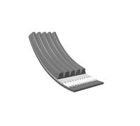 Cinghia Poly V Meyle 0500051100 Meyle-original: True To Oe. per Alfa Romeo Fiat