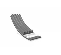 Cinghia trapezoidale multirighe EPDM (Etilene-Propilene-Diene-Caucciù) MEYLE