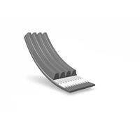 Originale MEYLE Cinghia Scanalata 050 004 0875 per Alfa Romeo Chrysler Honda