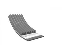 Cinghia A V Denti MEYLE 050 006 1637 Per Audi BMW Ford Mitsubishi