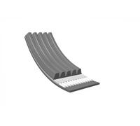 Cinghia trapezoidale multirighe EPDM (Etilene-Propilene-Diene-Caucciù) MEYLE