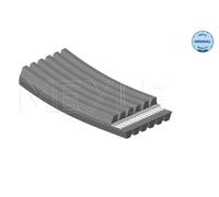 Meyle Cinghia Poly-V 050 006 1825/D – Cinghia servizi EPDM multirighe per Volvo