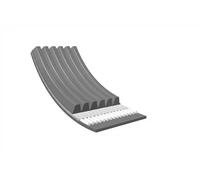 Meyle 0500061605 Cinghia Poly-V