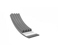 MEYLE 050 004 0920 Cinghia servizi per TOYOTA Yaris Schrägheck (P1) 920mm