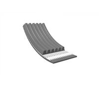 Cinghia trapezoidale multirighe EPDM (Etilene-Propilene-Diene-Caucciù) MEYLE