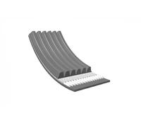 Meyle V-Ribbed Belt 500061900