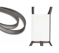 INA FB 4PK1070 Cinghia servizi