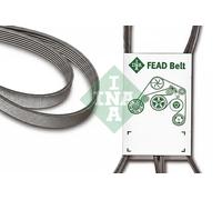 Cinghia trapezoidale multirighe FB 5PK1219 INA per PEUGEOT VW CITROËN SKODA SEAT