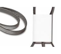 INA FB 5pk2060 cinghie di distribuzione