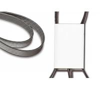 Ina Cinghia servizi FB 6DPK1215 multirighe per VW SEAT