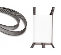 INA FB 6PK1210 Cinghia di distribuzione