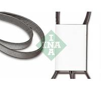 INA FB 6PK1325 Cinghia servizi