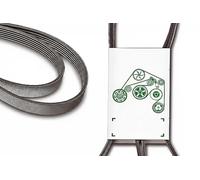 Cinghia trapezoidale multirighe FB 6PK1680 INA per SKODA CITROËN PEUGEOT RENAULT