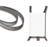 INA FB 6PK1750 cinghie di distribuzione
