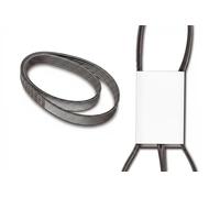 INA Cinghia servizi FB 6PK1820 - Cinghia trapezoidale multirighe Poly-V per Ford, Toyota, Dacia