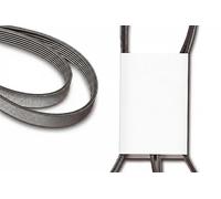 INA FB 6PK2120 Cinghia servizi
