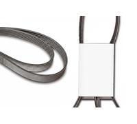 INA Cinghia servizi FB 6PK2175 trapezoidale multirighe