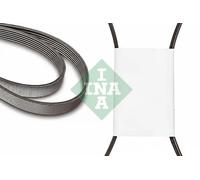 INA FB 6PK2193 Cinghia servizi