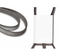 Cinghia trapezoidale multirighe FB 6PK850 INA per VOLVO RENAULT OPEL CITROËN
