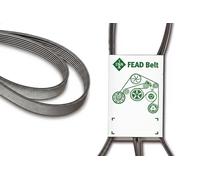 Cinghia trapezoidale multirighe FB 7PK1125 INA per RENAULT NISSAN
