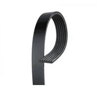 Cinghia Poly-V GATES K061080