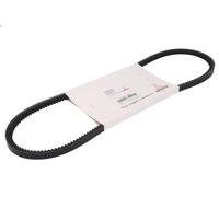 Cinghia trapezoidale OE DEUTZ 01181185 per MAN EL 6.871 1993-1997