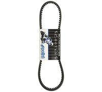 Cinghia trapezoidale POLINI Speed Belt per Honda Zoomer, Ruckus, Metropolitan 50 CCM 4T