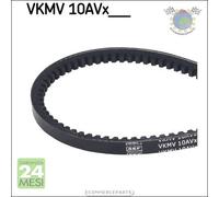 Cinghia trapezoidale SKF per AUDI CABRIOLET COUPE 100 A6 80 CITROEN VISA LNA C1