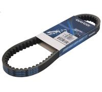 Cinghia trapezoidale trasmissione, Variomatik DAYCO DAY8019