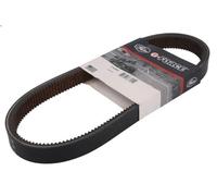 Cinghia trapezoidale trasmissione, Variomatik GATES 21G3849