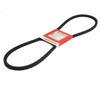 Cinghia trapezoidale VAPORMATIC VPE6006