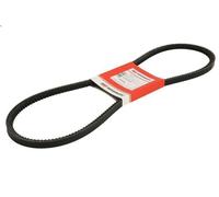 Cinghia trapezoidale VAPORMATIC VPE6246 per VOLVO NL 9.6 1989-1992